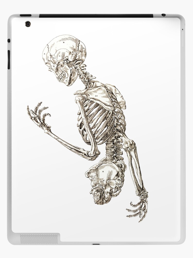 Human Skeleton Anatomy Scientific Illustration Ipad Case Skin By Encyclo Art Redbubble