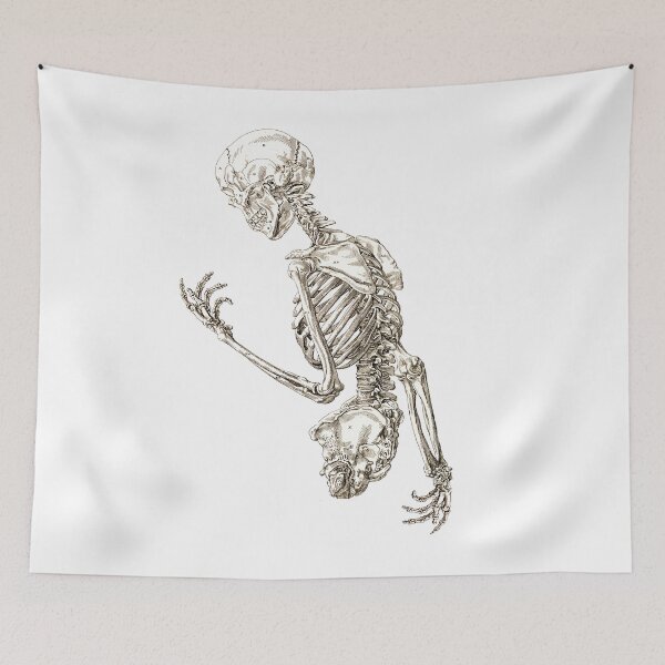 Item preview, Human Skeleton Anatomy Scientific Illustration  designed and sold by encyclo-art.