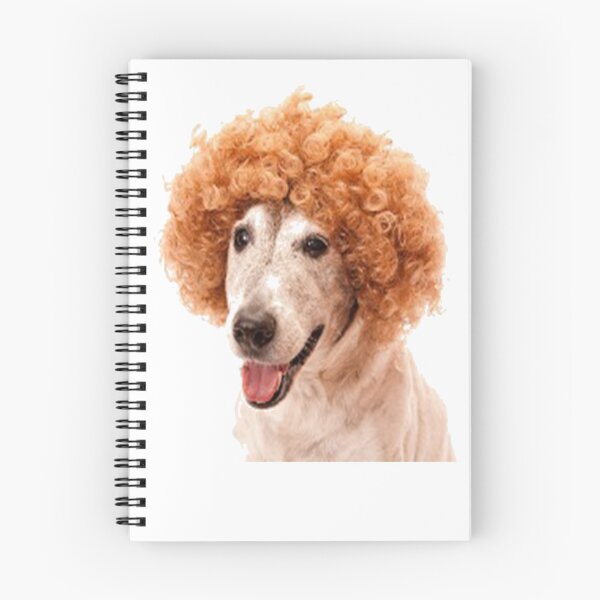 Item preview, dog with wig designed and sold by dngr shop.