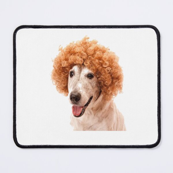 Item preview, dog with wig designed and sold by dngr shop.