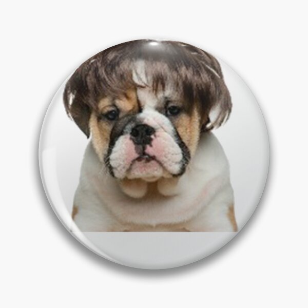 Item preview, dog with wig designed and sold by dngr shop.