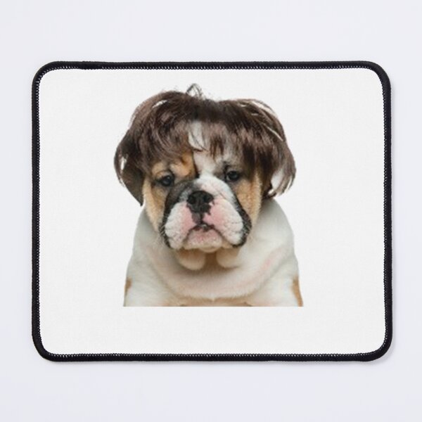 Item preview, dog with wig designed and sold by dngr shop.