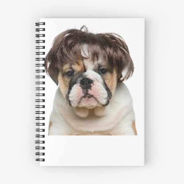 Item preview, dog with wig designed and sold by dngr shop.