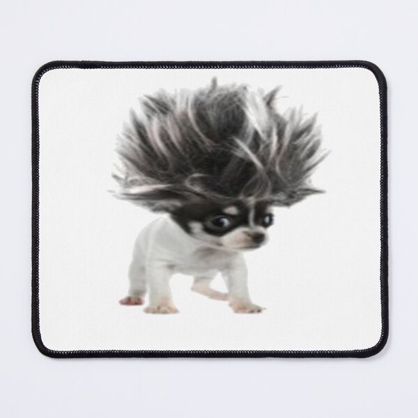 Item preview, dog with wig designed and sold by dngr shop.