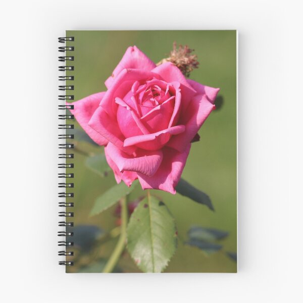 Item preview, Solo Pink Rose  designed and sold by mymysterycloset.