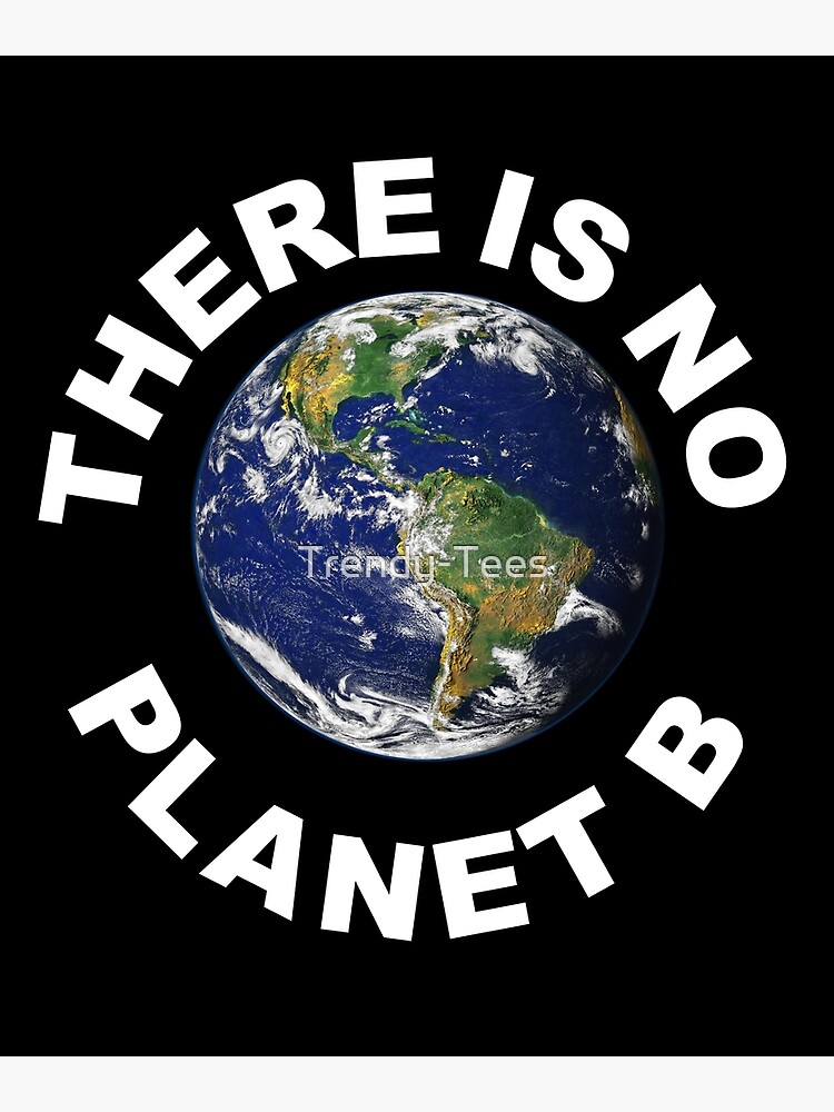 Disover There Is No Planet B - Save Earth - Premium Matte Vertical Poster
