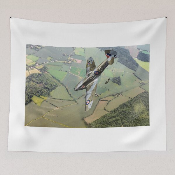 Item preview, Polish Spitfire XVI dive bombing designed and sold by Flight Artworks.