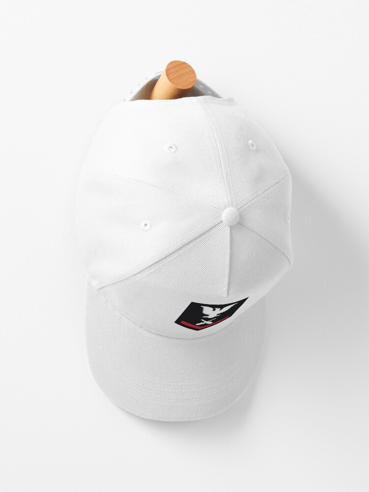 AO1 Snapback Hat