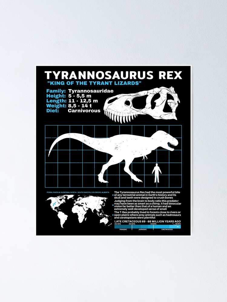 Esqueleto de t-rex. no fundo branco. o trajeto de grampeamento cartazes  para a parede • posters primitivo, dentadura, enorme