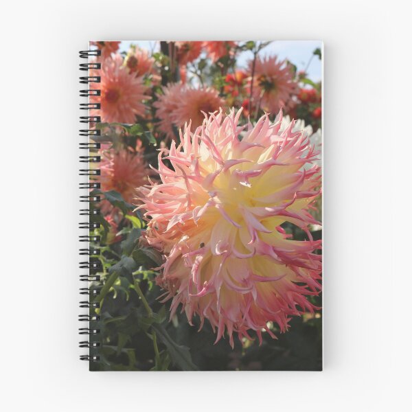Item preview, Pink and White Dahlia Flower with Bee designed and sold by mymysterycloset.