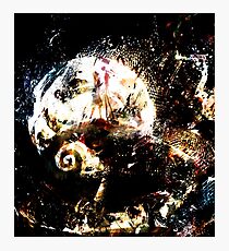 nightmare Photographic Print