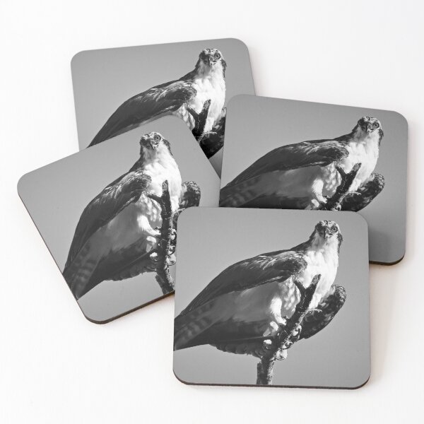 Item preview, Choose Vulnerability designed and sold by Michiale.