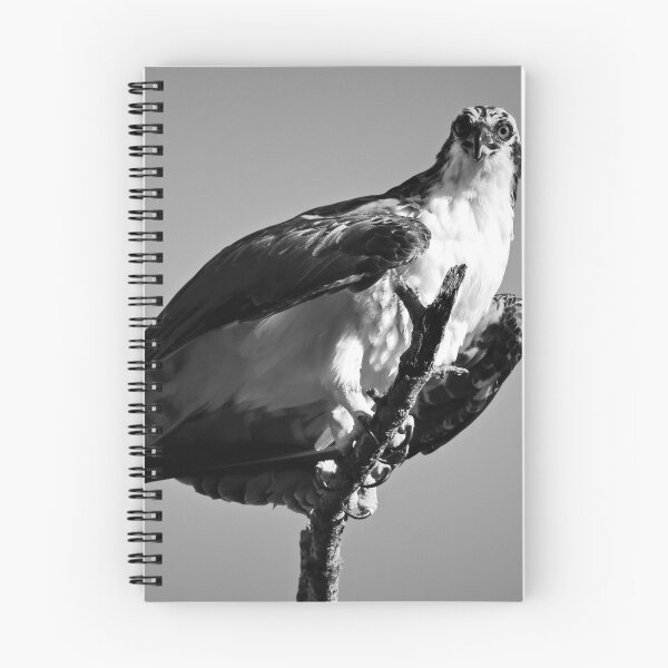 Item preview, Choose Vulnerability designed and sold by Michiale.