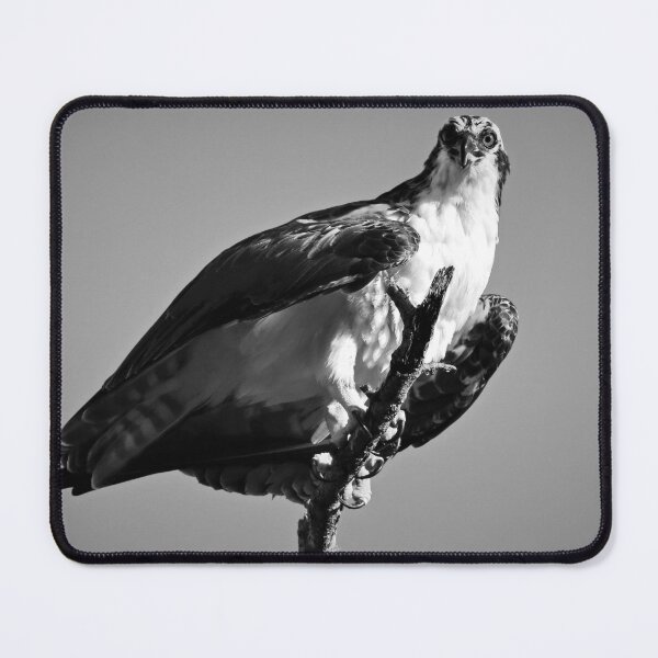Item preview, Choose Vulnerability designed and sold by Michiale.