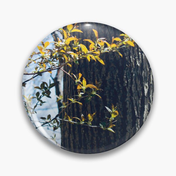 Item preview, Tree Trunk in Springtime designed and sold by RoseyElisabeth.