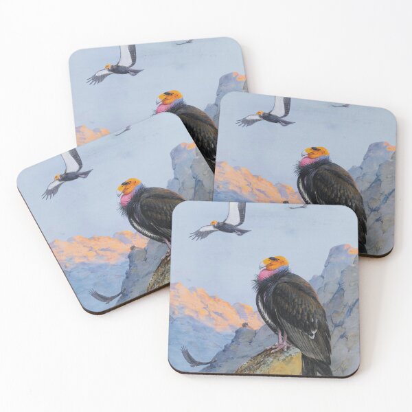 Item preview, California Condors | Allan Brooks | 1933 Nature Art designed and sold by CJET.