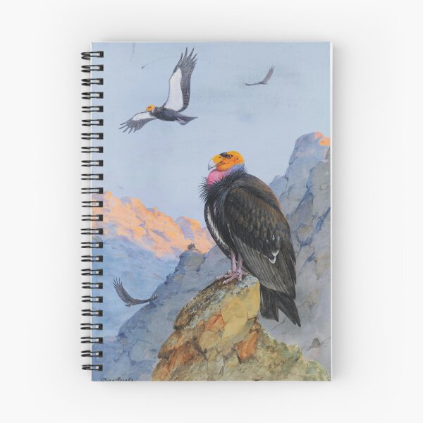 Item preview, California Condors | Allan Brooks | 1933 Nature Art designed and sold by CJET.