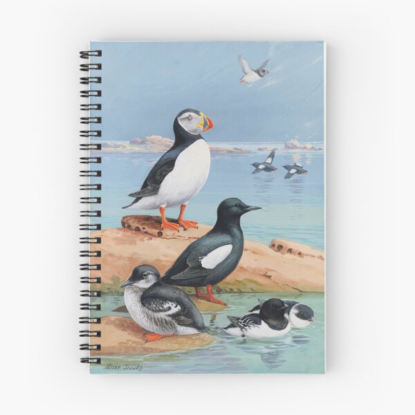 Item preview, Auks and Their Northland Neighbors | Allan Brooks | 1933 Nature Art designed and sold by CJET.