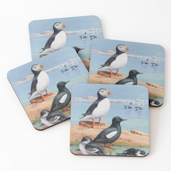 Item preview, Auks and Their Northland Neighbors | Allan Brooks | 1933 Nature Art designed and sold by CJET.