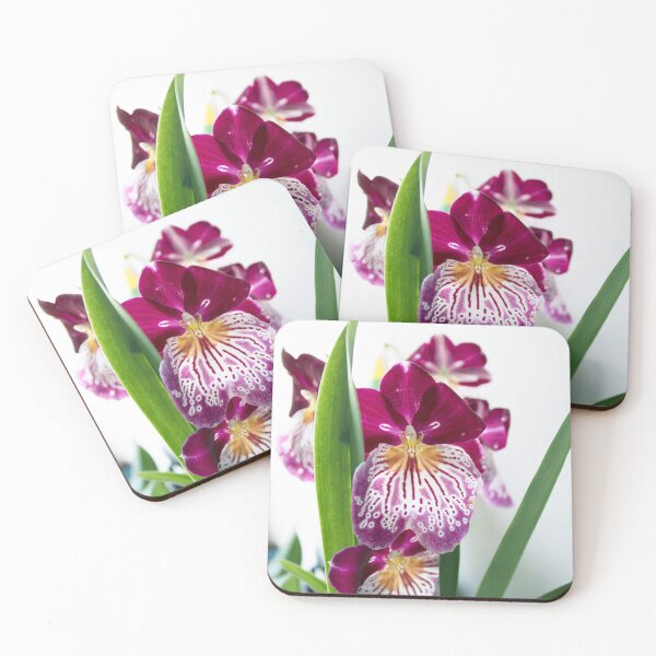 Item preview, Miltonia Orchid Flowers 2 designed and sold by nastiaart.