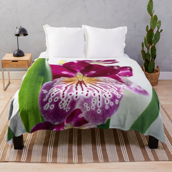 Item preview, Miltonia Orchid Flowers 2 designed and sold by nastiaart.