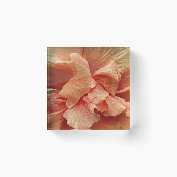 Item preview, Salmon Hibiscus-Flower-Botanical designed and sold by TessAndre.