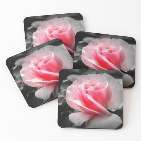 Item preview, Light Pink Rose Bud Flower Close-up Photography by BranaghBel, RedBubble Staff Don't Steal My Photography,! designed and sold by Branislava Tir .