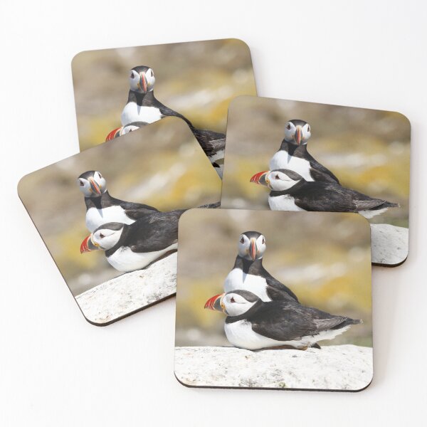 Item preview, Two Puffins pose for the photographer designed and sold by MartinPhotos.