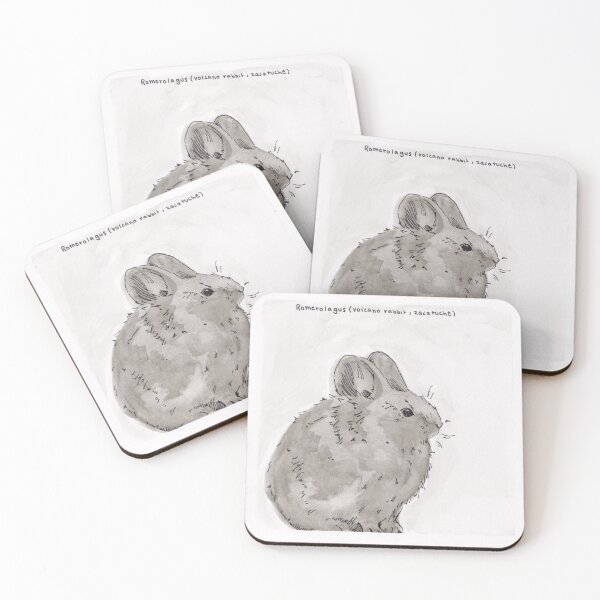 Item preview, Volcano Rabbit, Zacatuche (Romerolagus) designed and sold by Z Roesler.