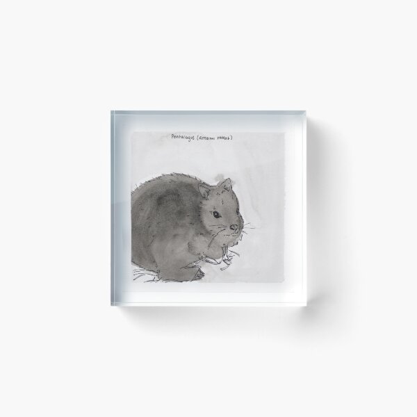 Item preview, Amami Rabbit (Pentalagus) designed and sold by Z Roesler.