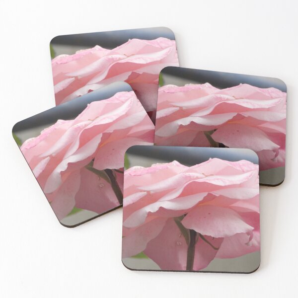 Item preview, Rose Baby Pink Flower Close-up Photography by BranaghBel designed and sold by BranislavaBT.