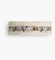 Hector Giacomelli - A Perch Of Birds Canvas Print
