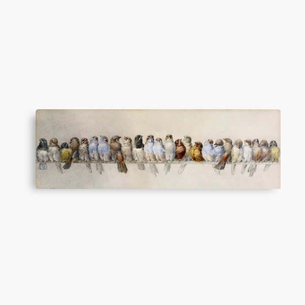 Hector Giacomelli - A Perch Of Birds Canvas Print