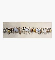 Hector Giacomelli - A Perch Of Birds Photographic Print