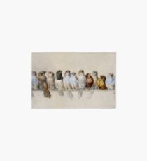 Hector Giacomelli - A Perch Of Birds Art Board