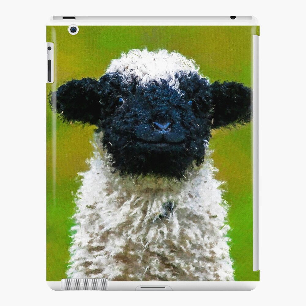 "Swiss Valais Blacknose Sheep, Black Faced Sheep, Cute Baby Farm Animal, Walliser ...