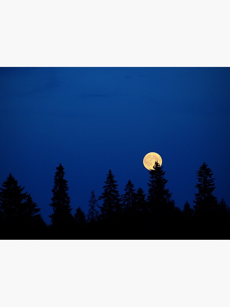 The Moon by annemaris