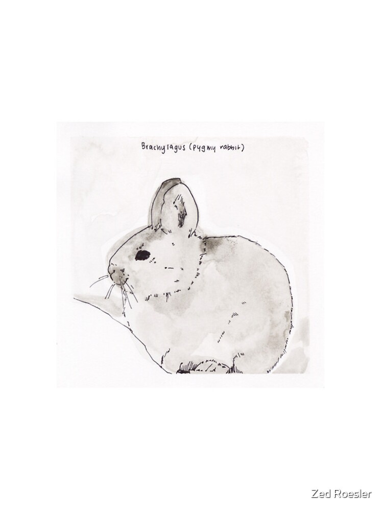 Thumbnail 4 of 4, iPhone Case, Pygmy Rabbit (Brachylagus) designed and sold by ZXER.
