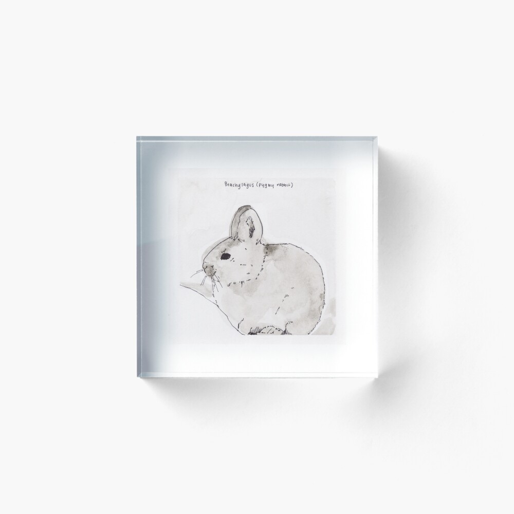 Item preview, Acrylic Block designed and sold by ZXER.