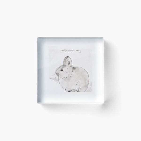 Item preview, Pygmy Rabbit (Brachylagus) designed and sold by Z Roesler.