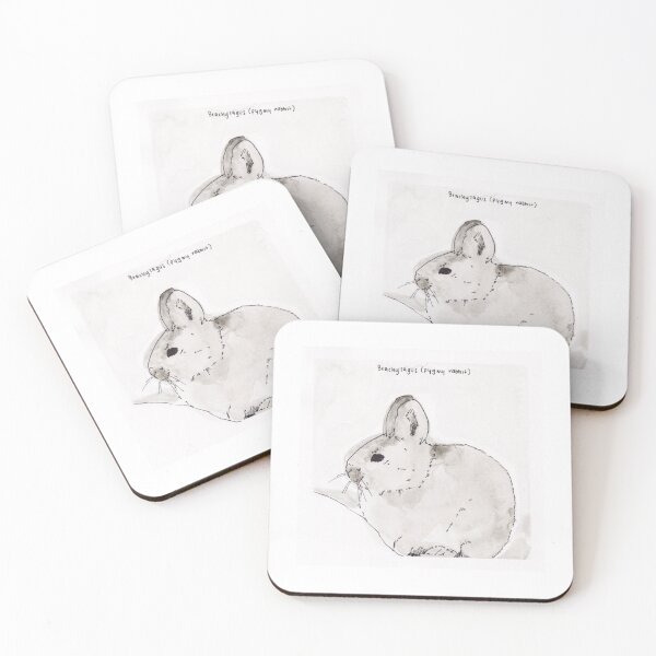 Item preview, Pygmy Rabbit (Brachylagus) designed and sold by Z Roesler.