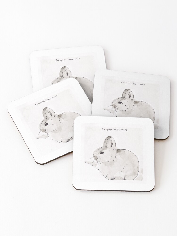 Thumbnail 1 of 5, Coasters (Set of 4), Pygmy Rabbit (Brachylagus) designed and sold by ZXER.