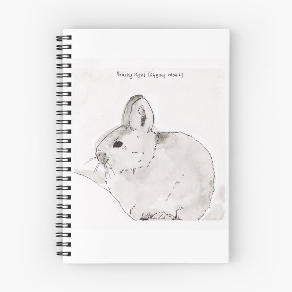 Item preview, Pygmy Rabbit (Brachylagus) designed and sold by Z Roesler.
