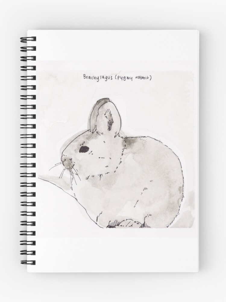 Thumbnail 1 of 3, Journal, Pygmy Rabbit (Brachylagus) designed and sold by ZXER.