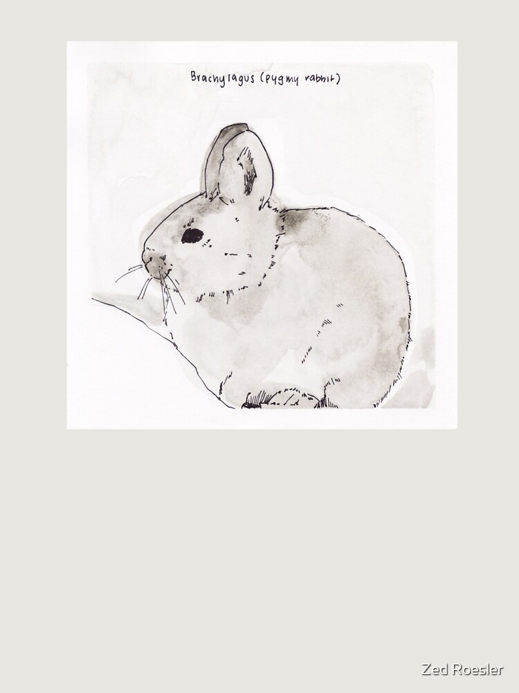 Thumbnail 6 of 6, Premium Oversized Hoodie, Pygmy Rabbit (Brachylagus) designed and sold by ZXER.