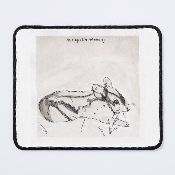 Item preview, Striped Rabbit (Nesolagus) designed and sold by Z Roesler.