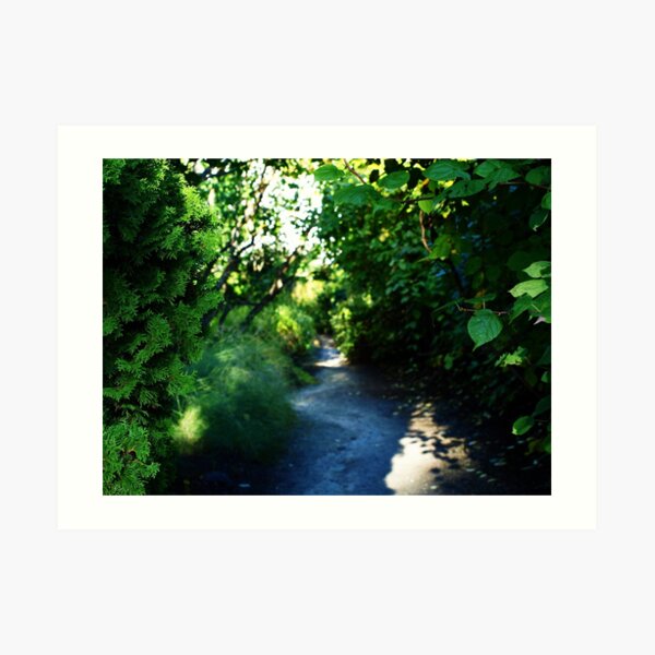 Into A Story Art Print