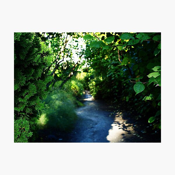 Into A Story Photographic Print