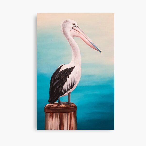 Perched Pelican Canvas Print