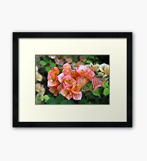 peach flowers Framed Print